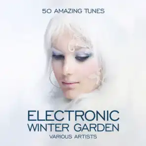 Electronic Winter Garden (50 Amazing Tunes)