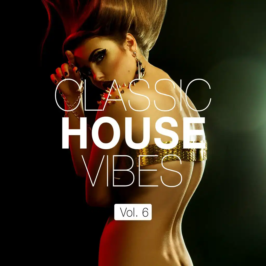 Classic House Vibes, Vol. 6