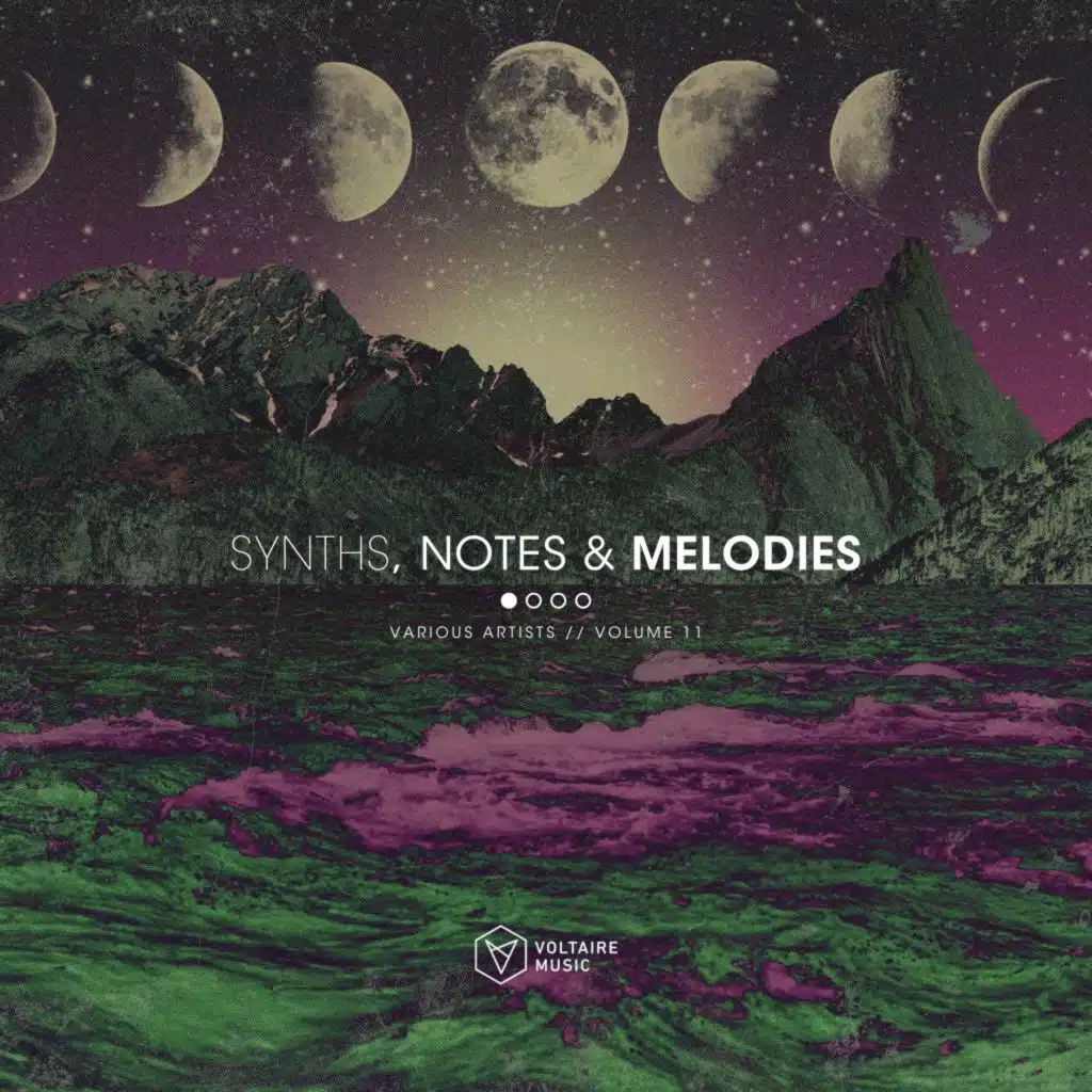 Synths, Notes & Melodies, Vol. 11