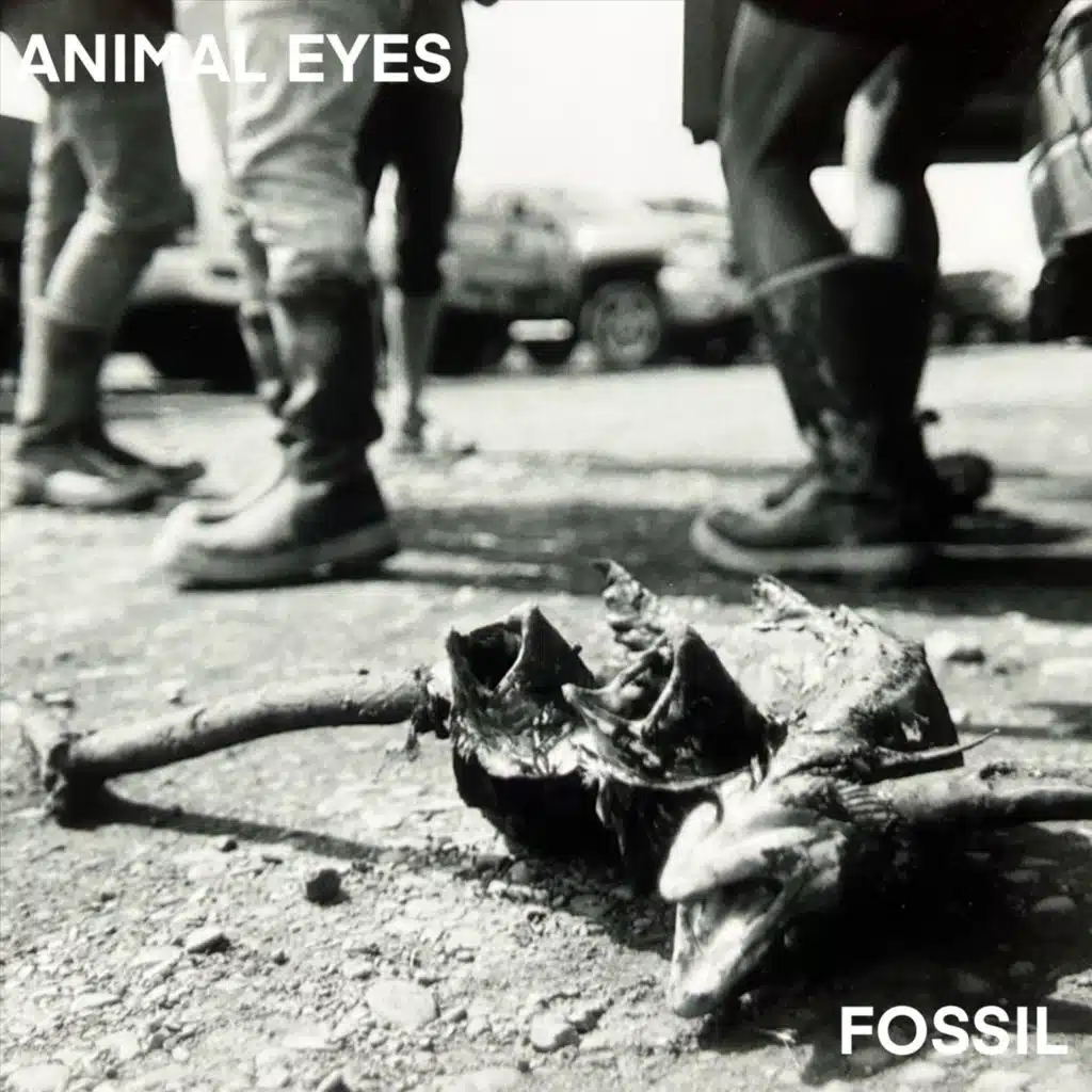 Animal Eyes