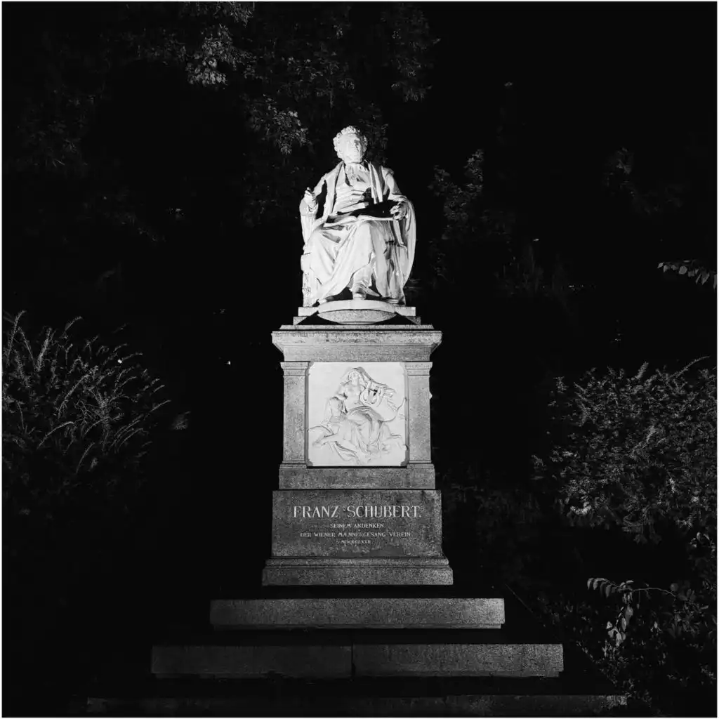 Impromptu for the Funeral of Franz Schubert