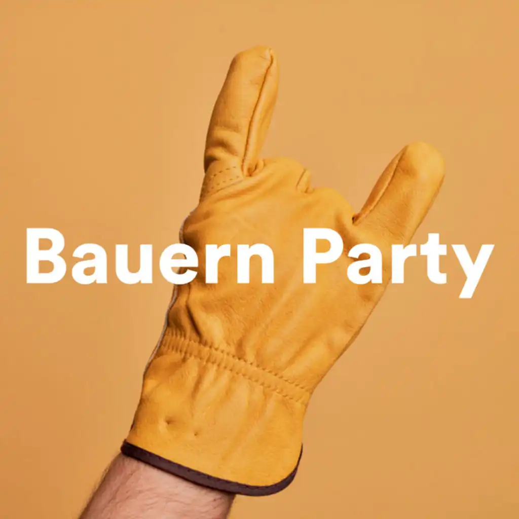 Bauern Party