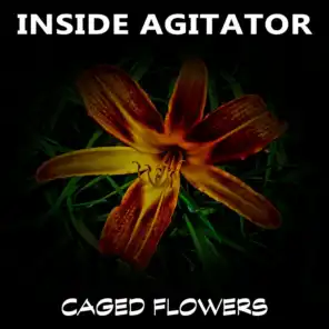 Inside Agitator