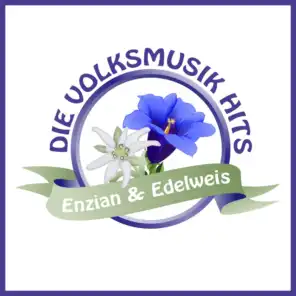 Enzian & Edelweiß: Die Volksmusik Hits