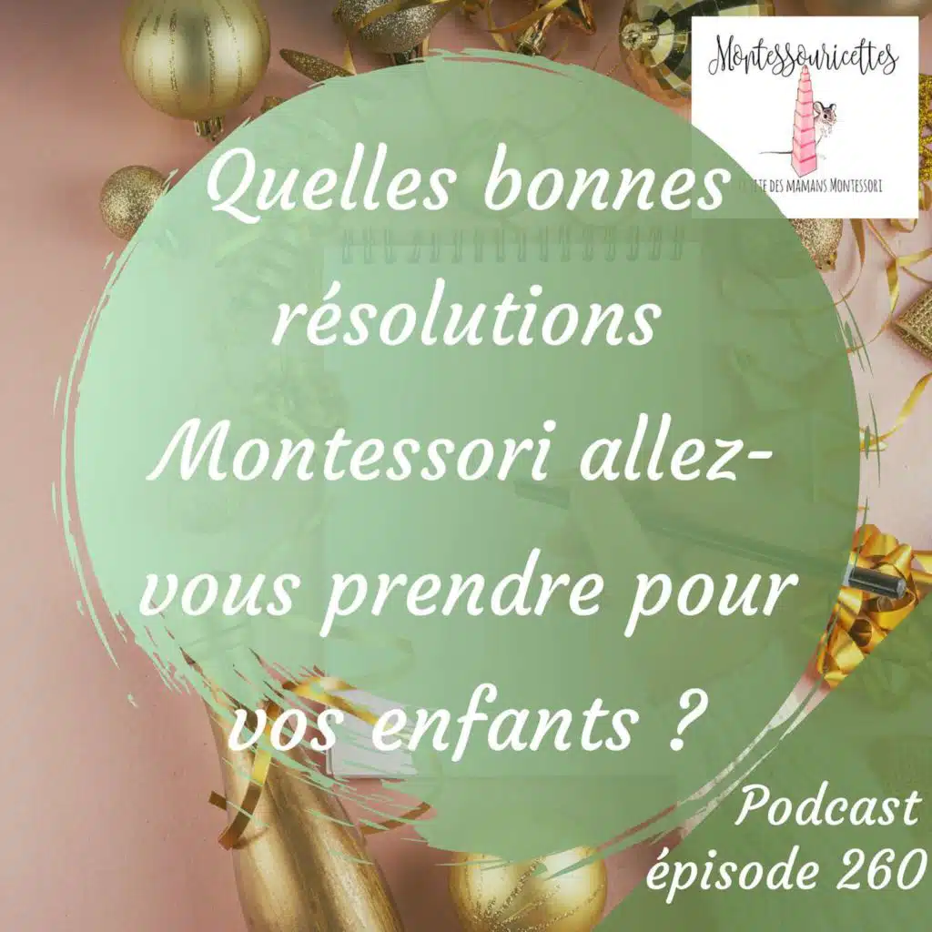 260. Quelles bonnes résolutions Montessori allez-vous prendre pour vos enfants ?