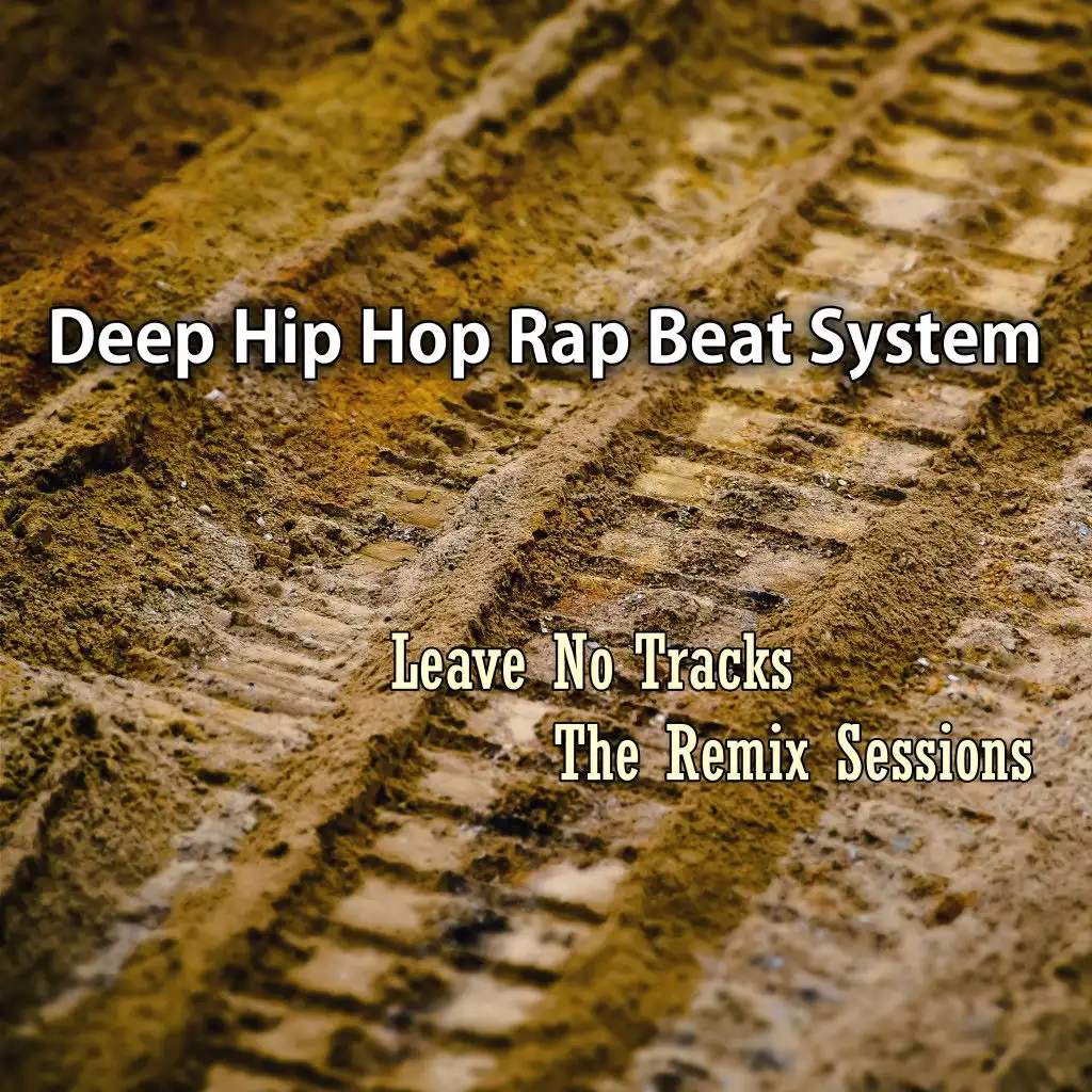 Leave No Tracks: The Remix Sessions