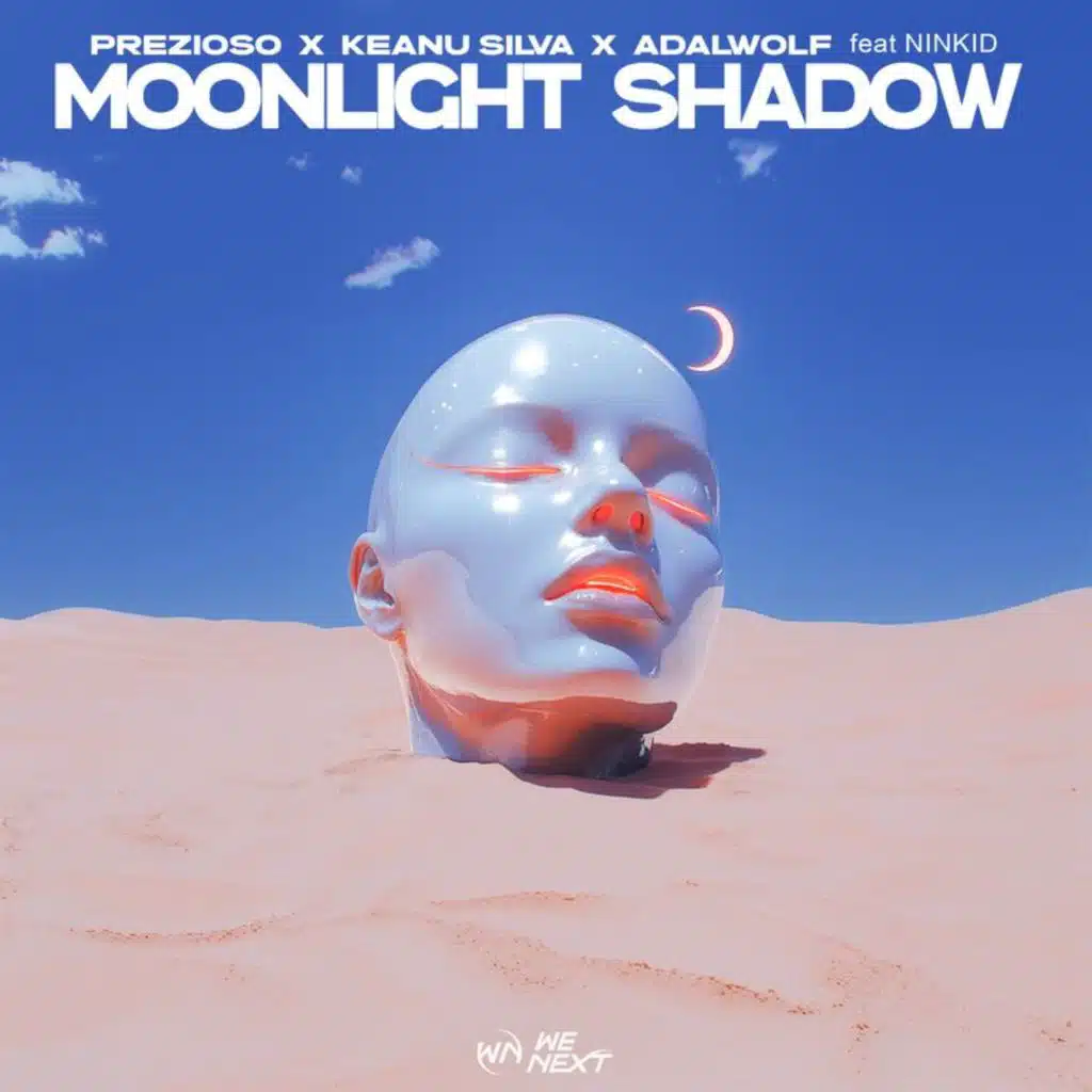 Moonlight Shadow (feat. Ninkid)