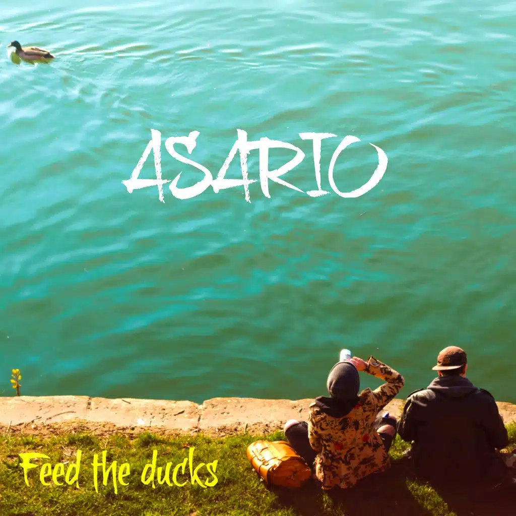 Feed the Ducks