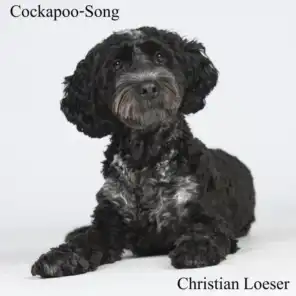 Cockapoo-Song