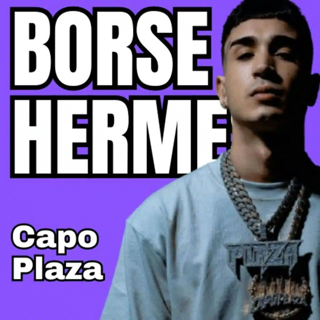 BORSE HERMES - CAPO PLAZA [commento]
