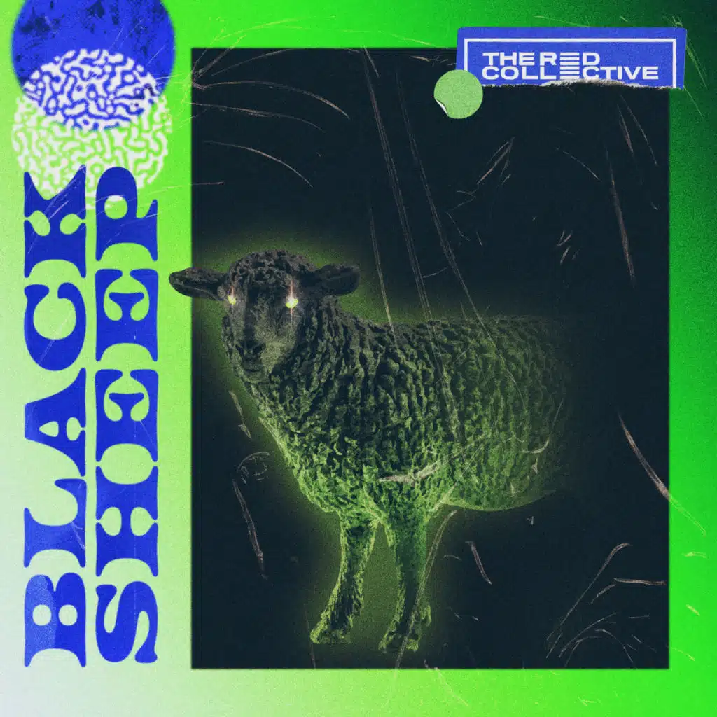 Black Sheep