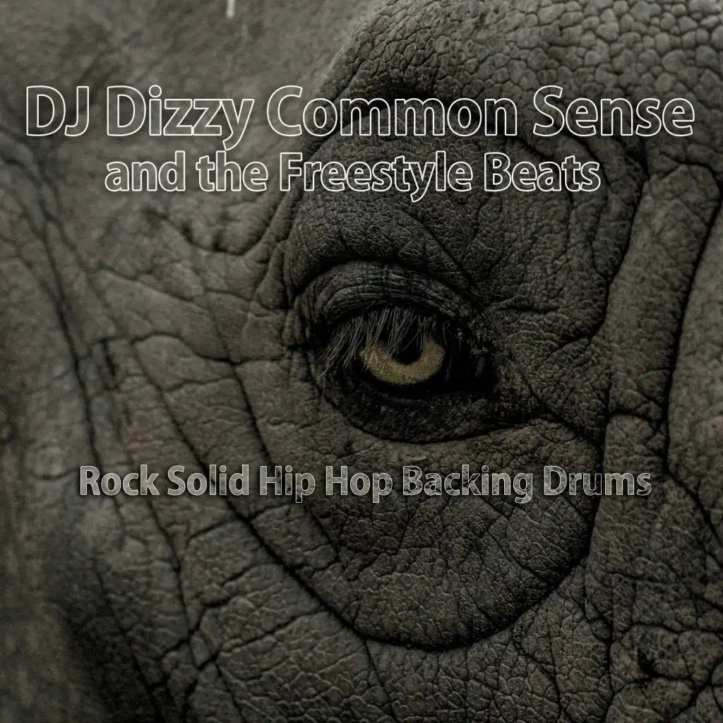 DJ Dizzy Common Sense and the Freestyle Beats