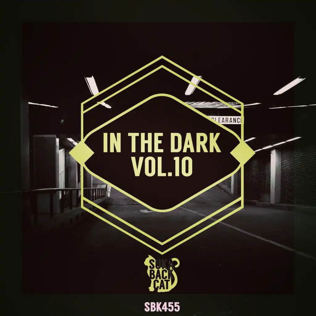 In the Dark Vol. 10