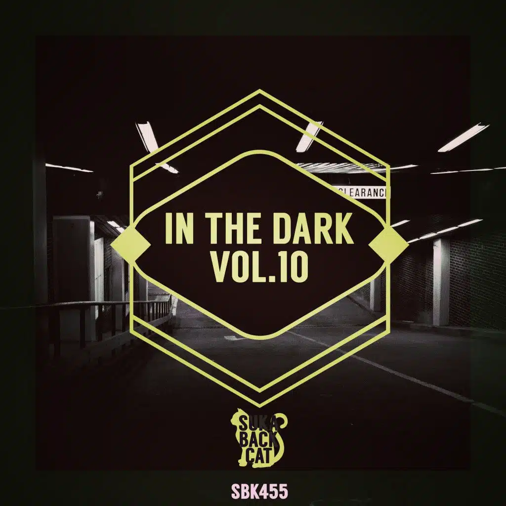 In the Dark Vol. 10