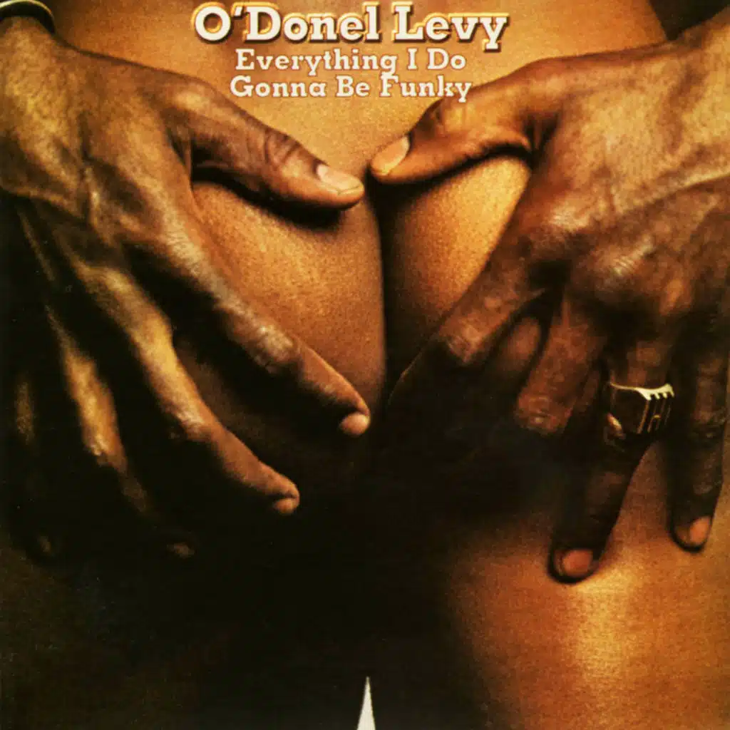 Everything I Do Gonna Be Funky (2024 Remastered Version)