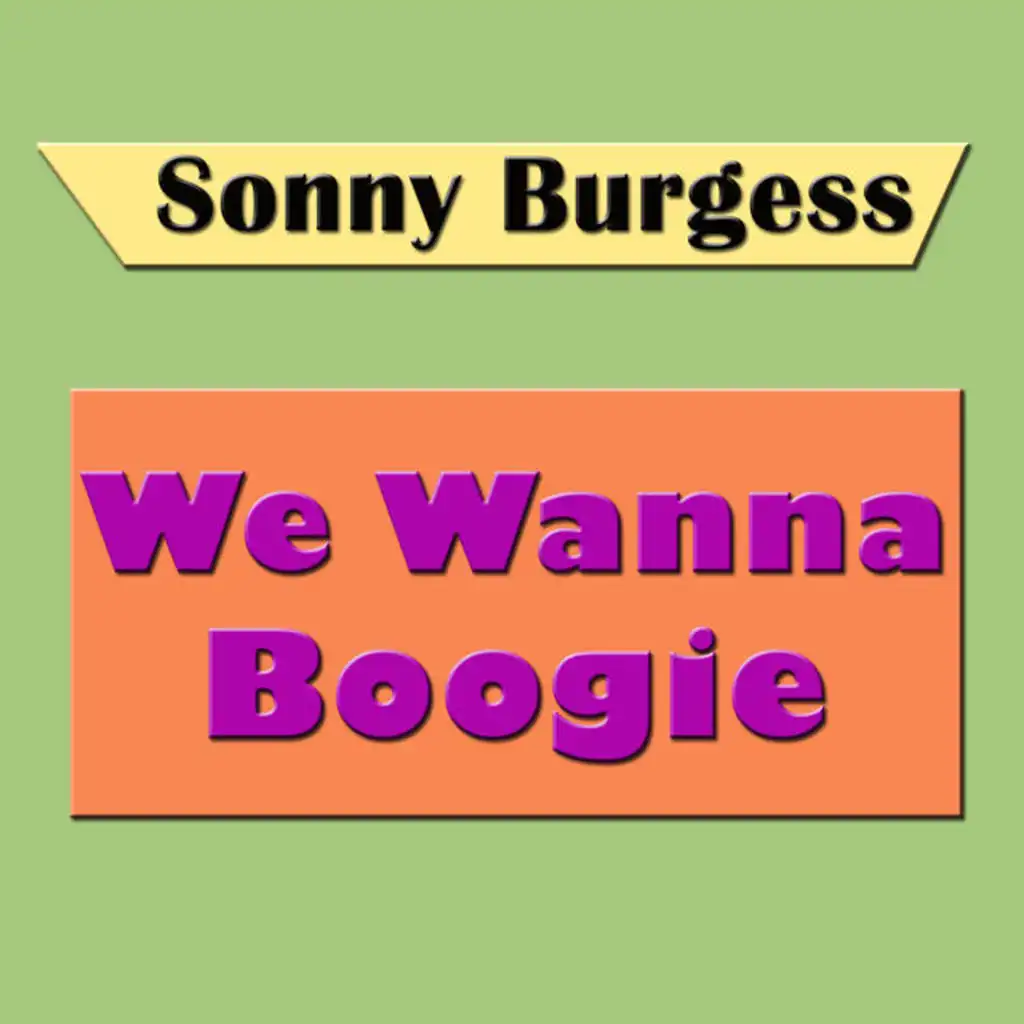 We Wanna Boogie