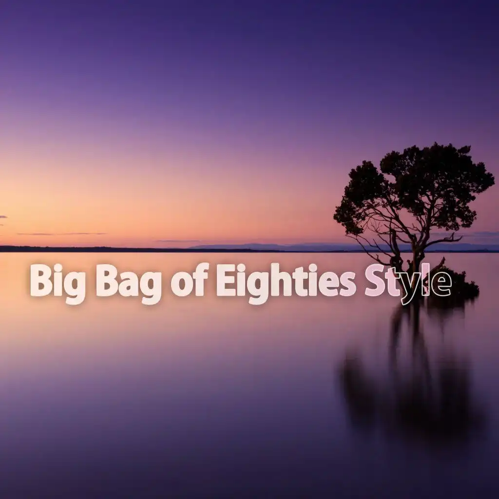 Big Bag of Eighties Style