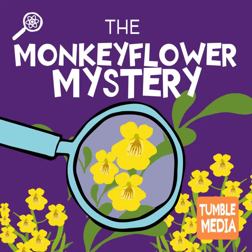 The Monkeyflower Mystery