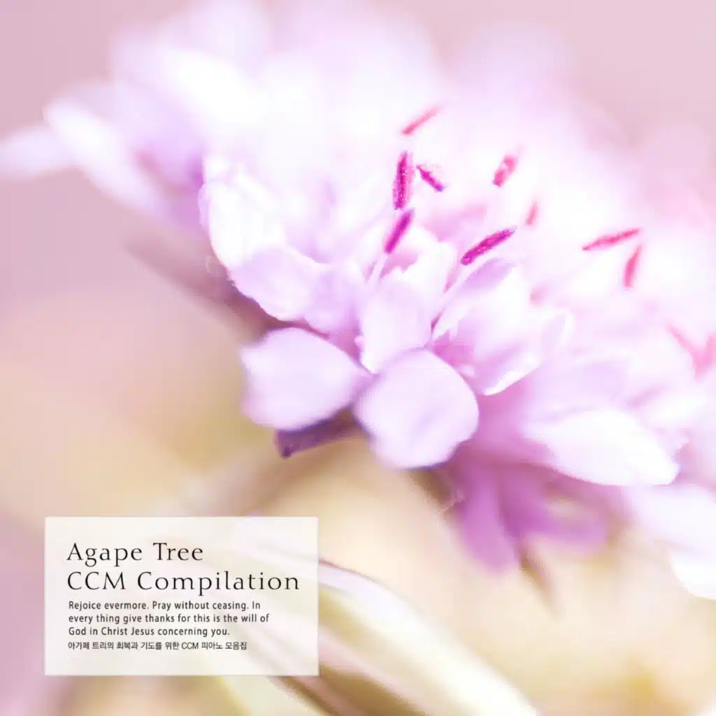 CCM Piano Collection for Agape Tree Recovery and Prayer