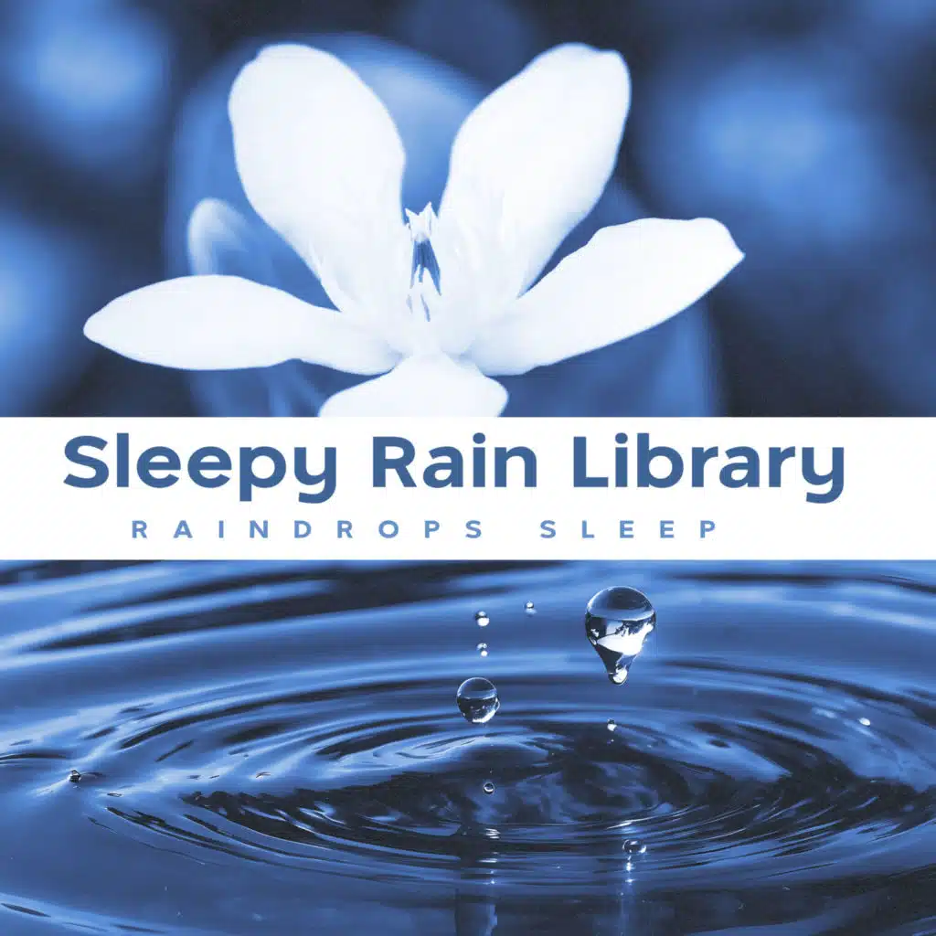 Raindrops Sleep