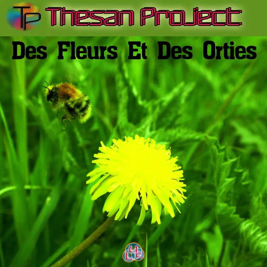 Des Fleurs et des orties