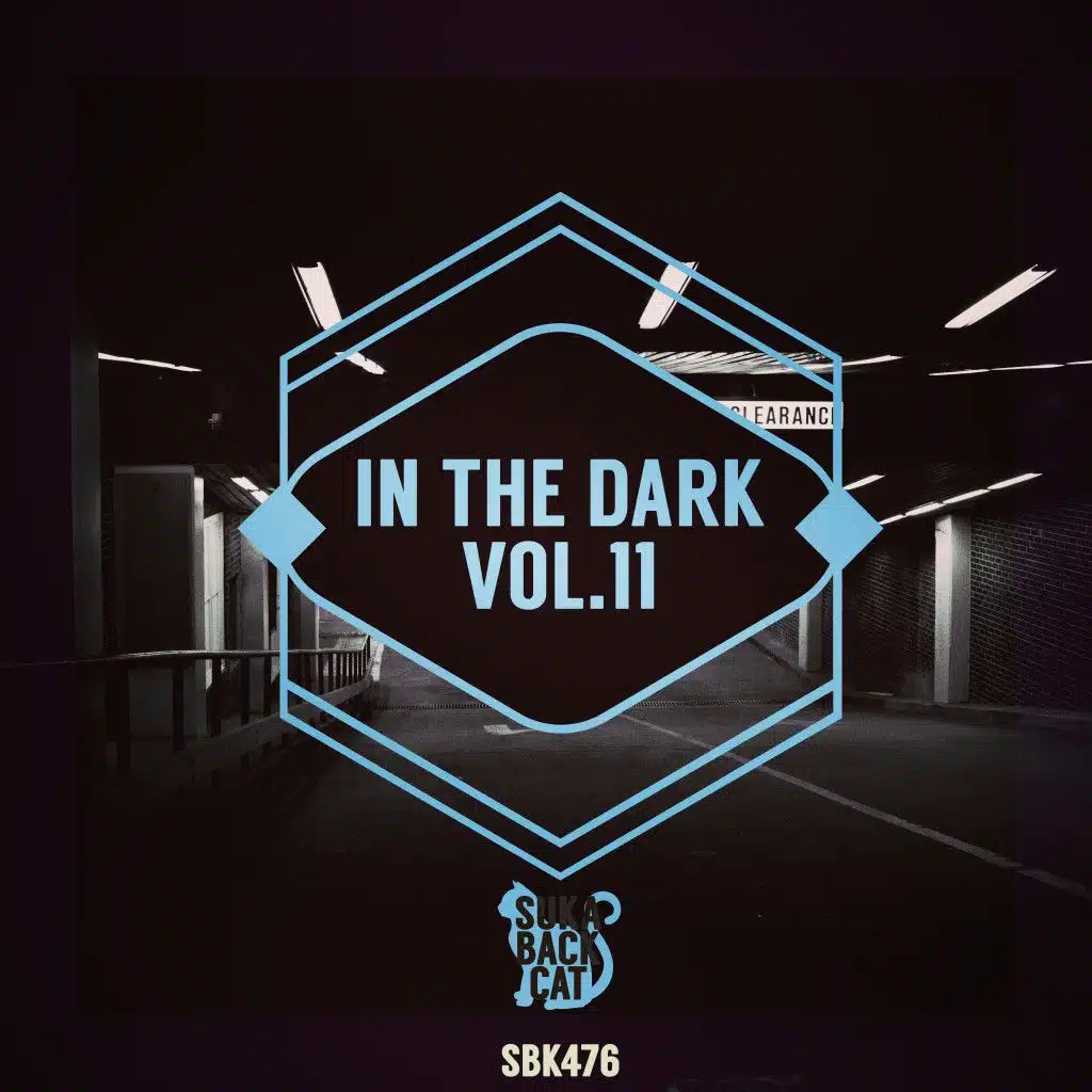 In the Dark, Vol. 11