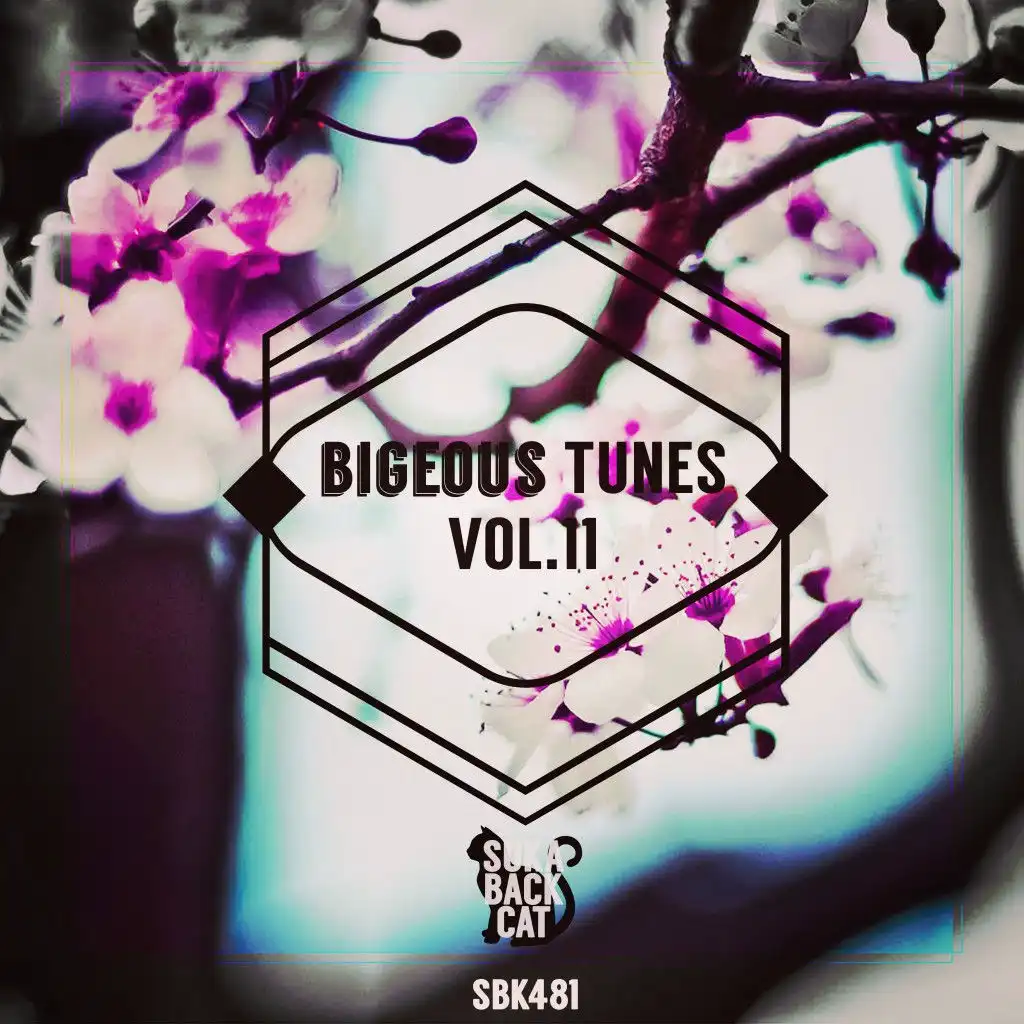 Bigeous Tunes,vol. 11