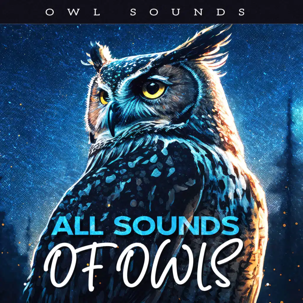 All Sounds of Owls