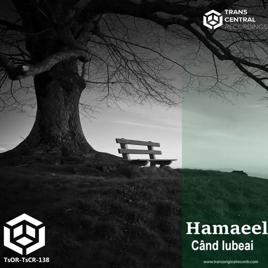 Hamaeel