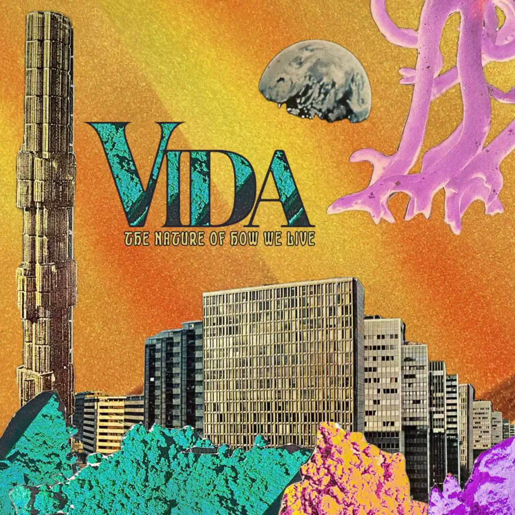 Vida