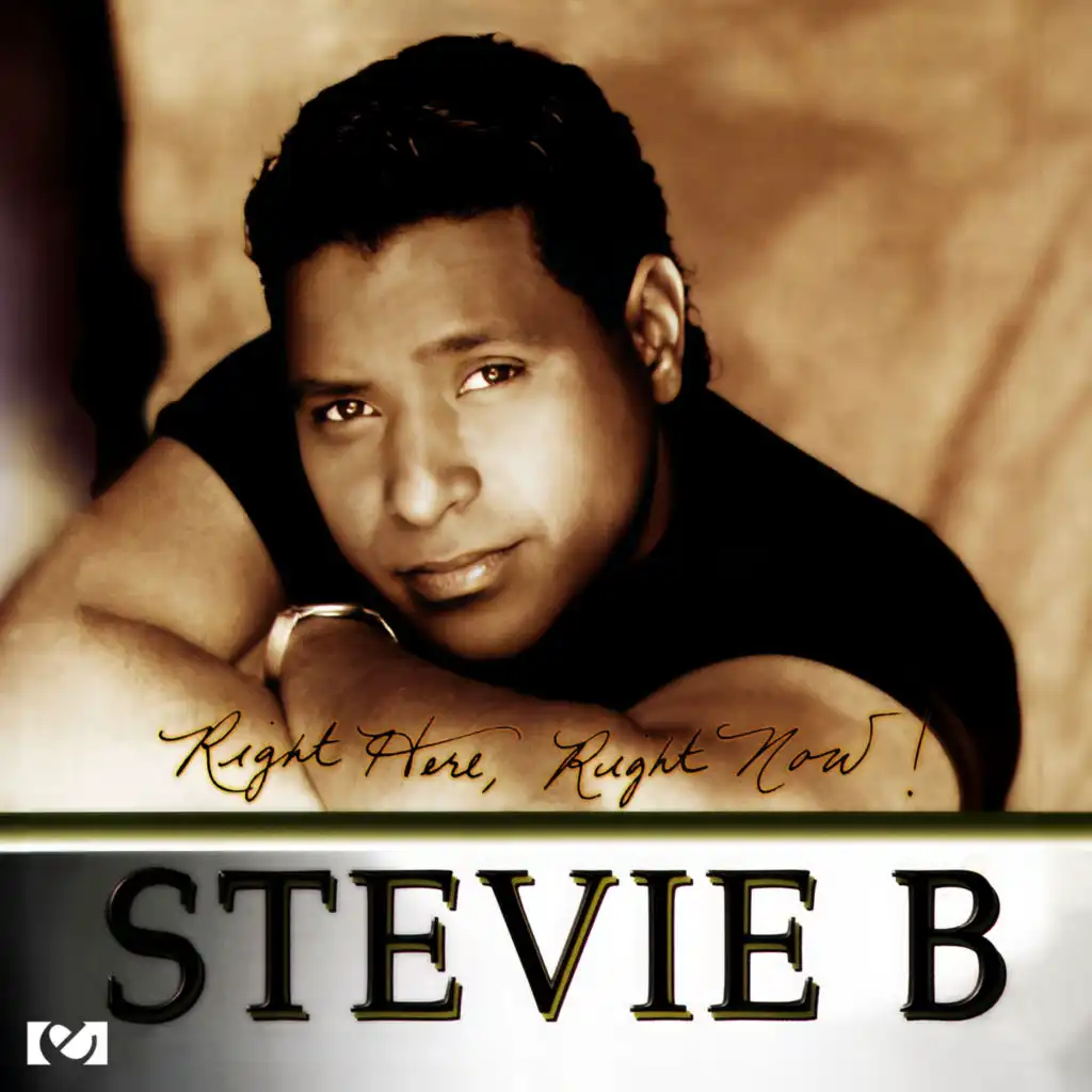 Stevie B