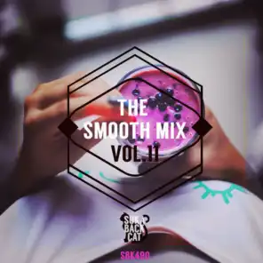 The Smooth Mix, Vol. 11