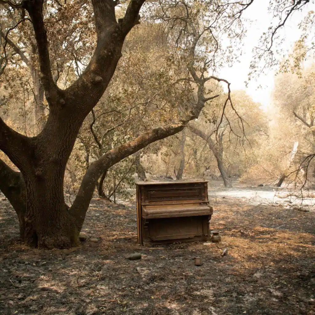 Lovely Day (feat. Marcus Monteiro)