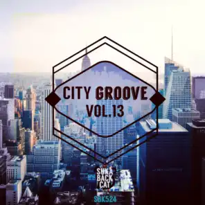 City Groove, Vol. 13
