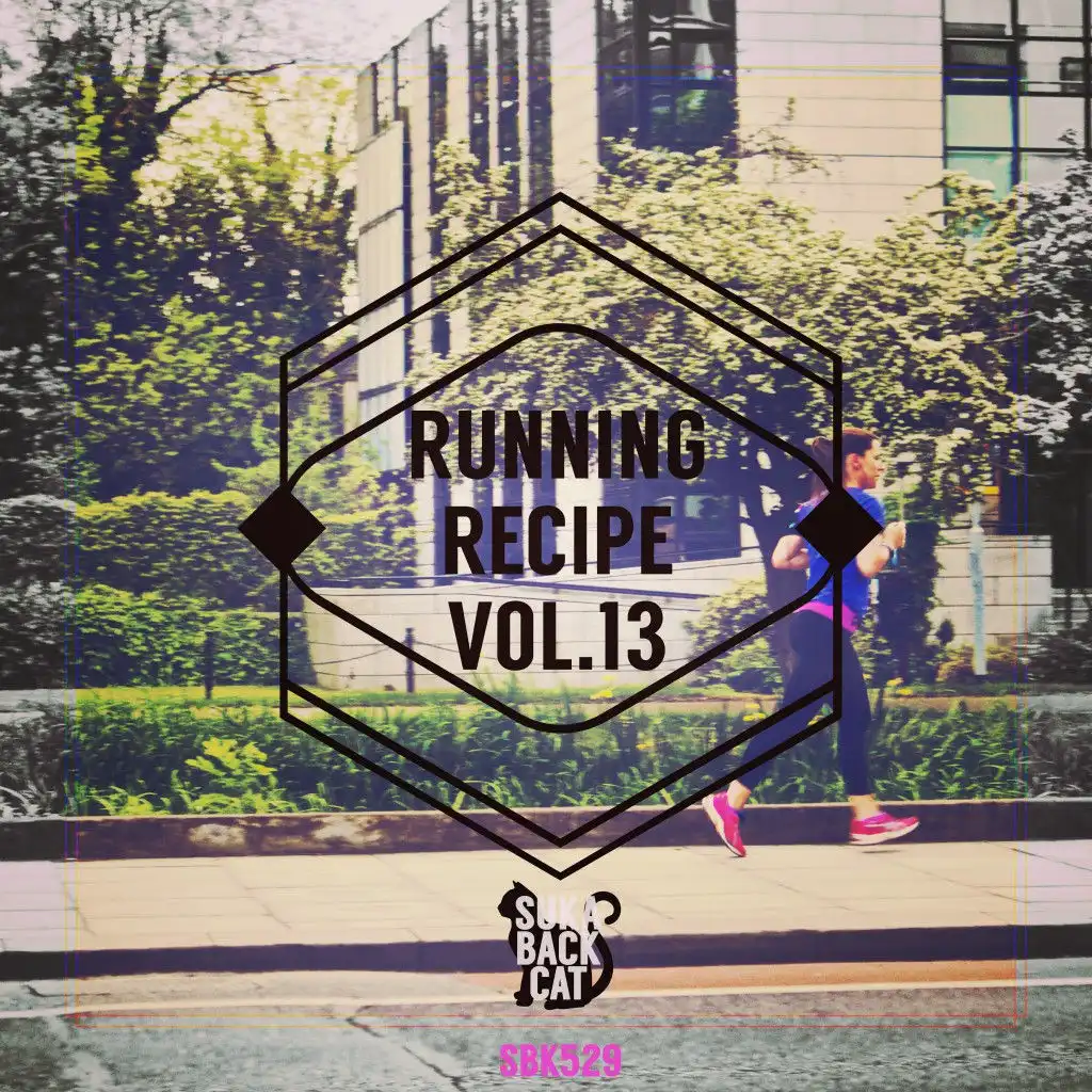 Running Recipe, Vol. 13