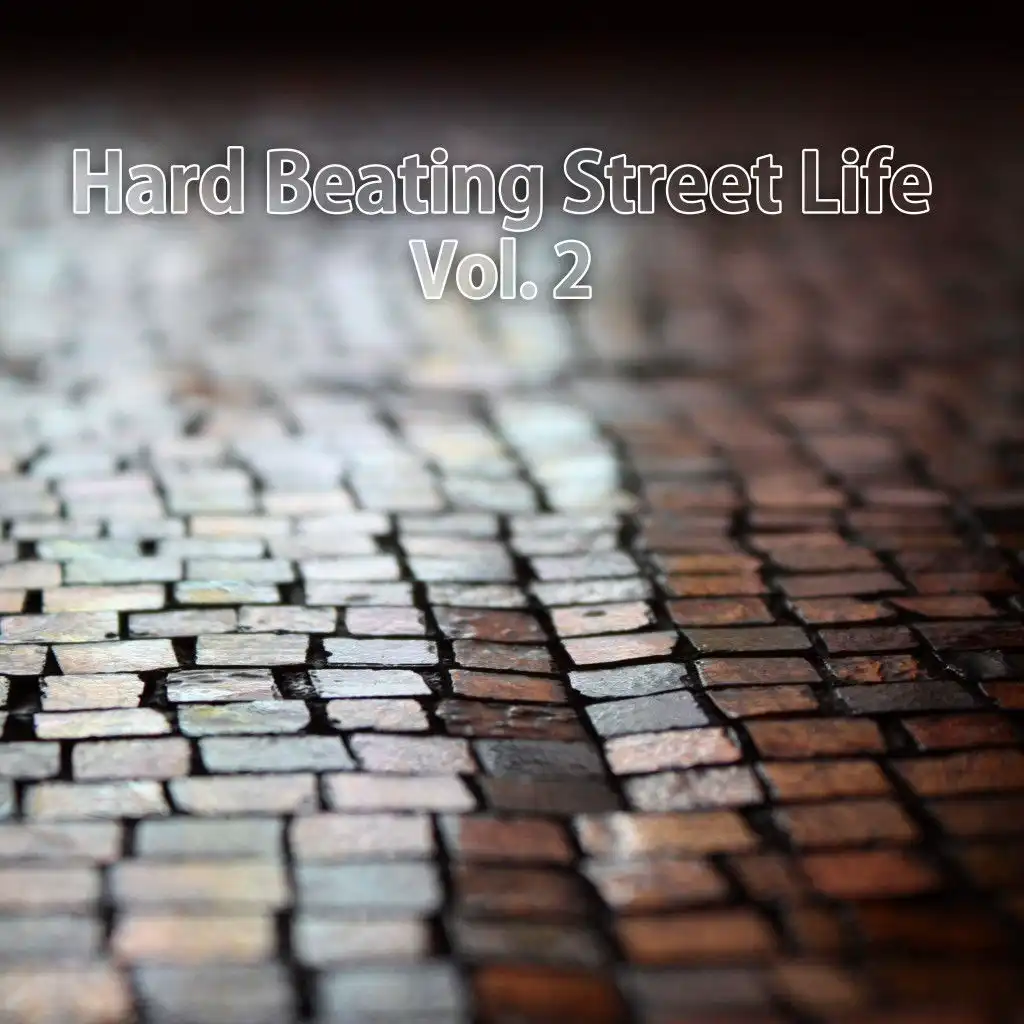 Hard Beating Street Life, Vol. 2
