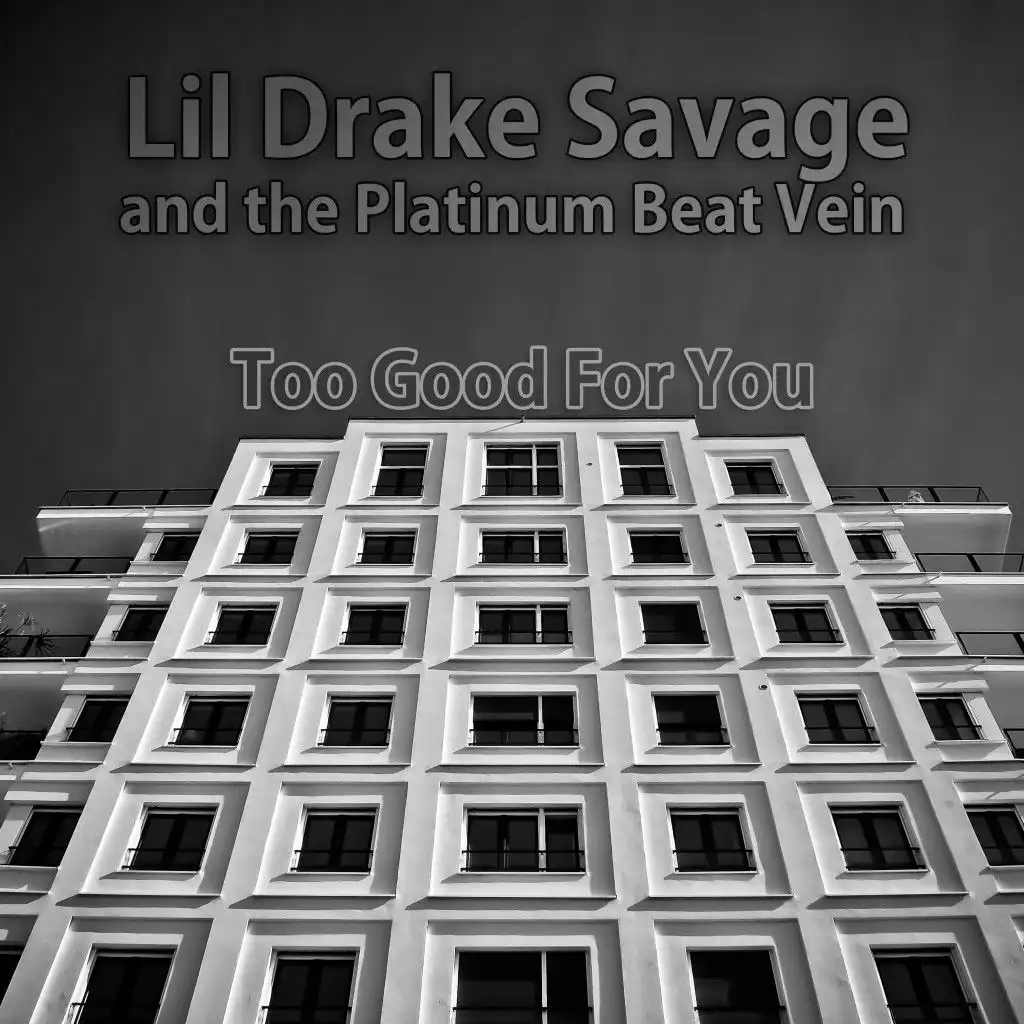 Lil Drake Savage and the Platinum Beat Vein