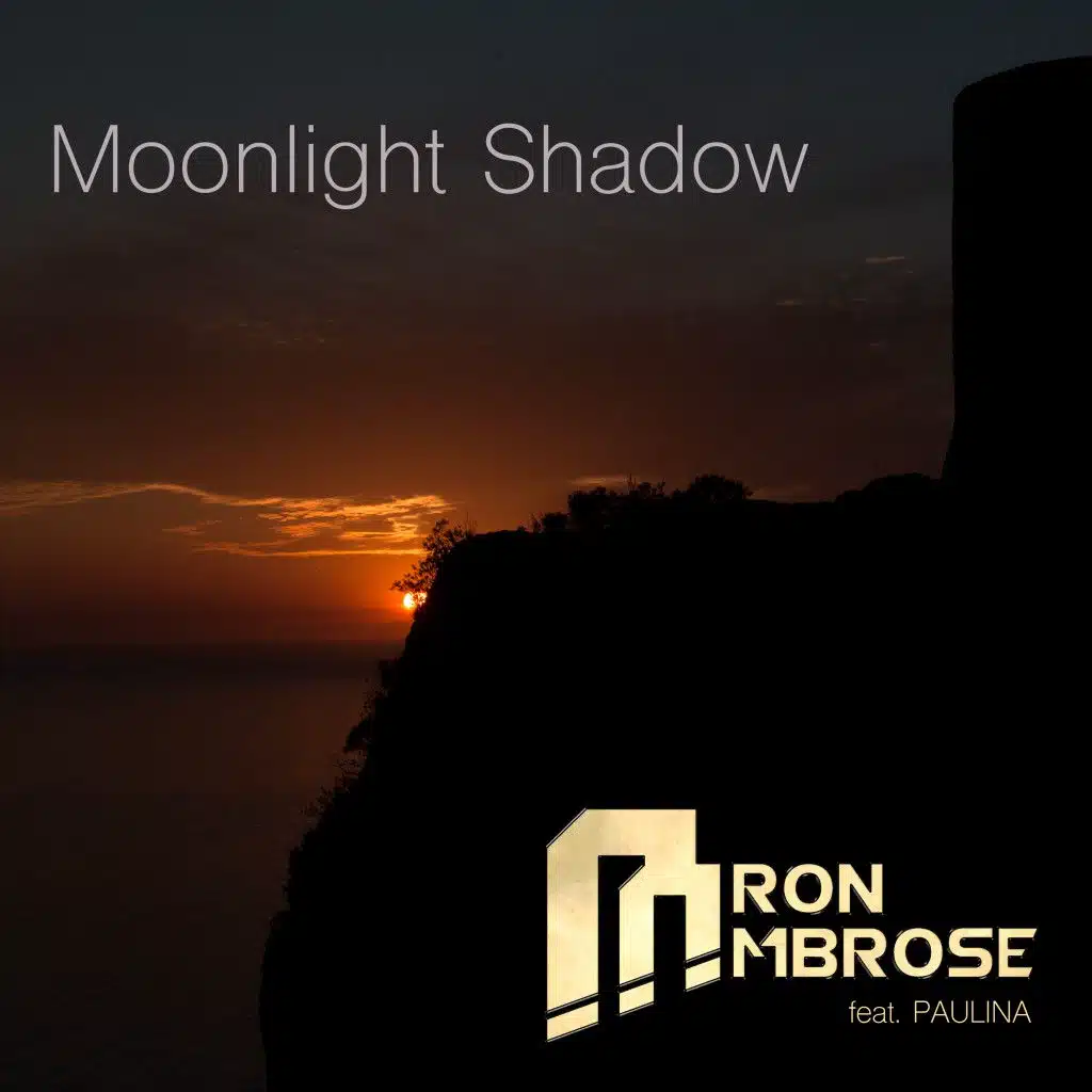 Moonlight Shadow (Ambrose Asylum Mix)