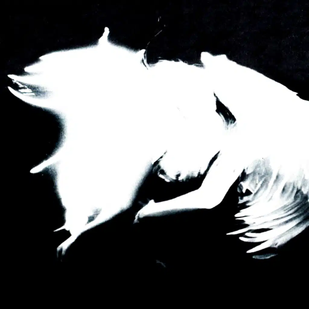 Of Lion