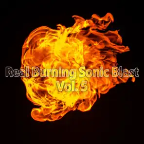 Real Burning Sonic Blast, Vol. 5