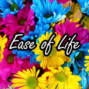 Ease of Life