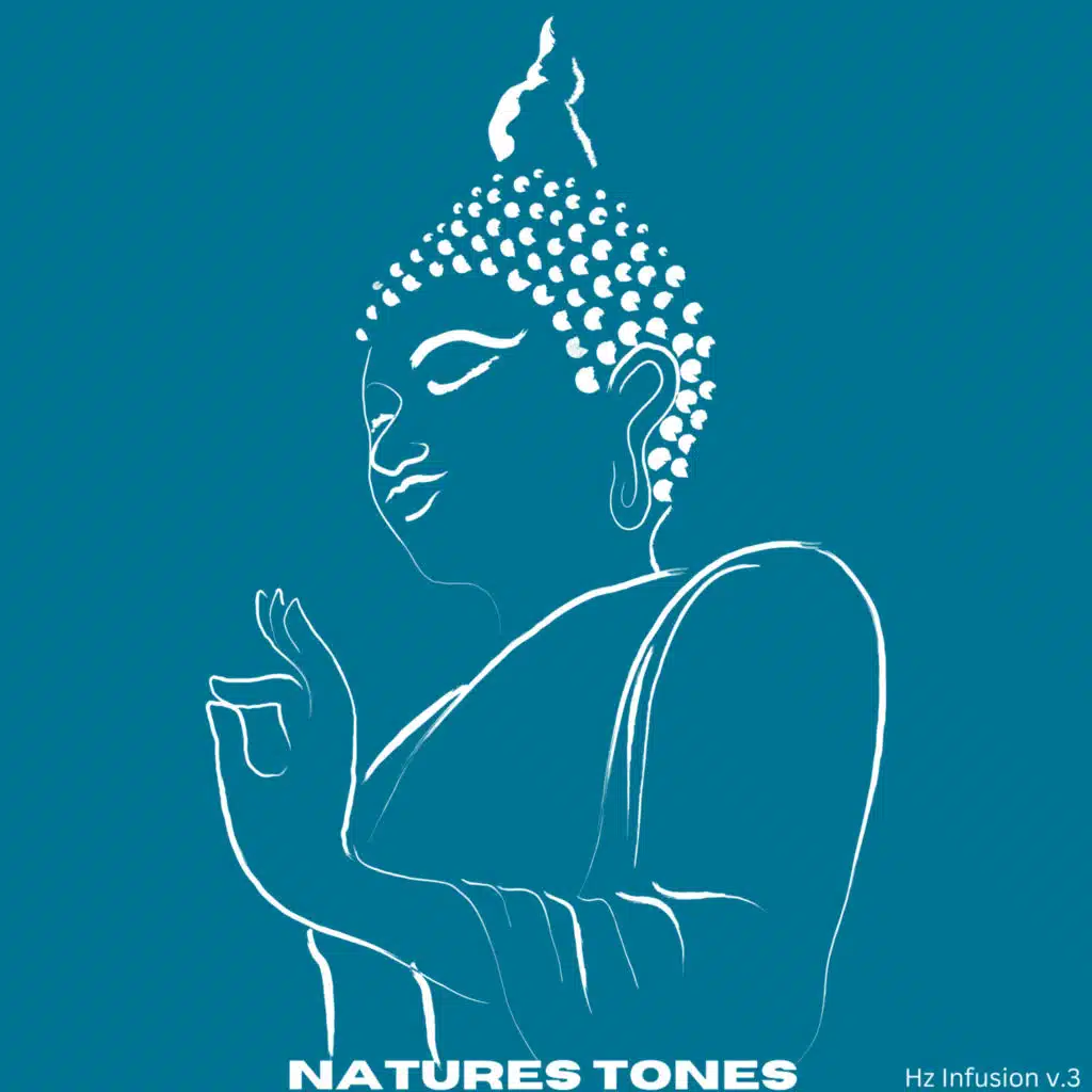 Buddha's Sleep, Buddha's Lounge & Buddha's Bowl