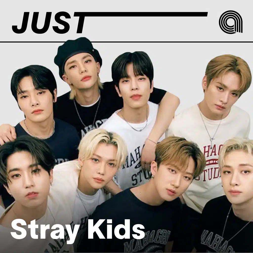 Just Stray Kids