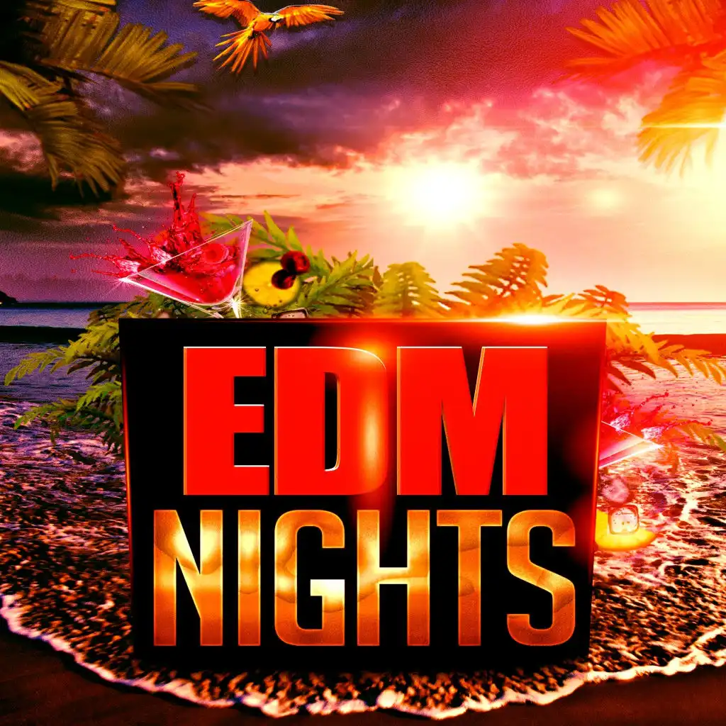 EDM Nights