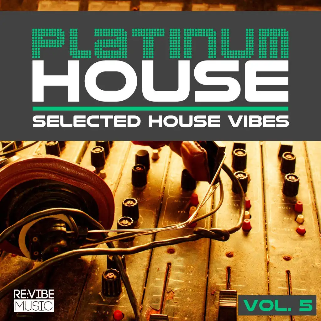Platinum House - Selected House Vibes, Vol. 5