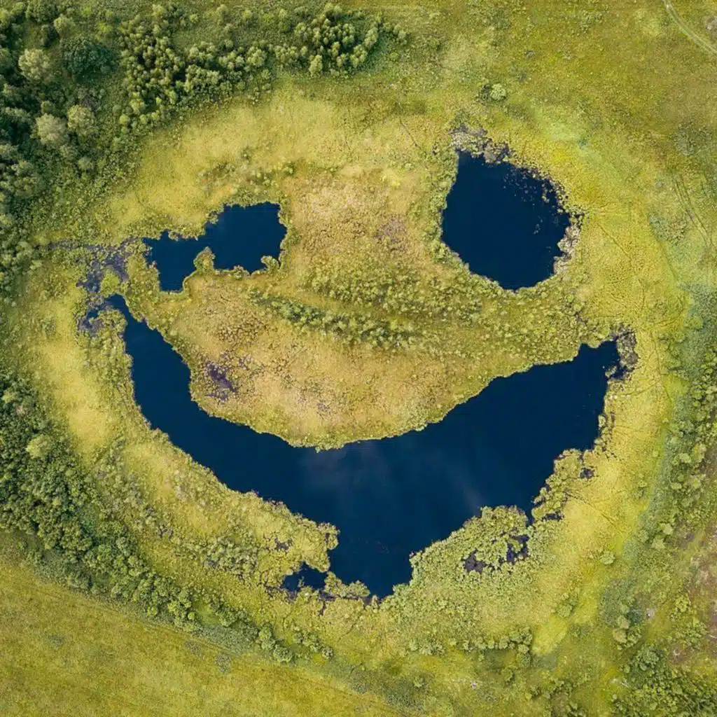 Why do we see faces in inanimate objects?