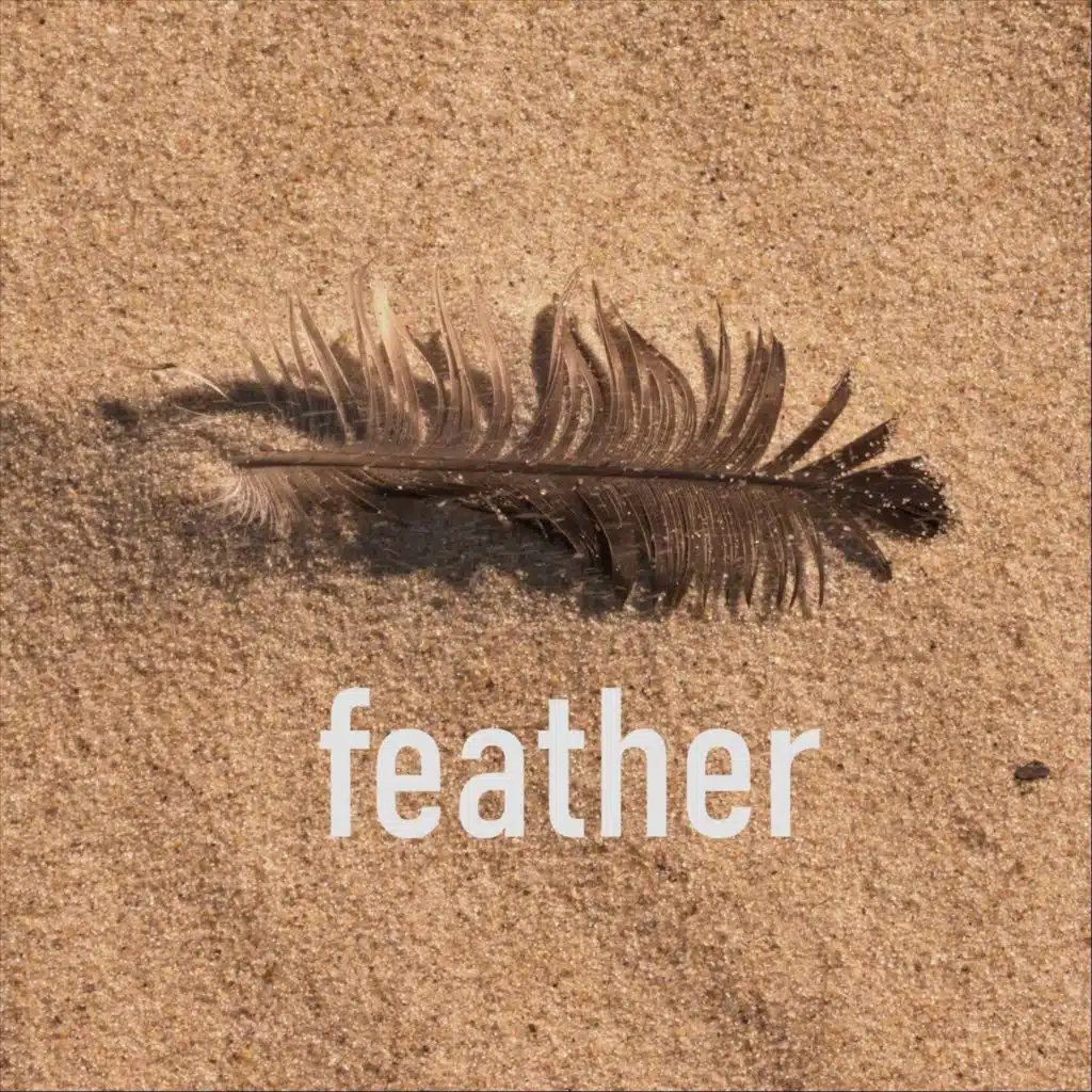 Feather