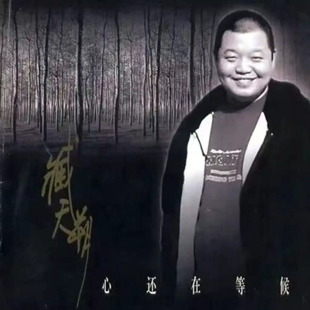 为了爱也为了你