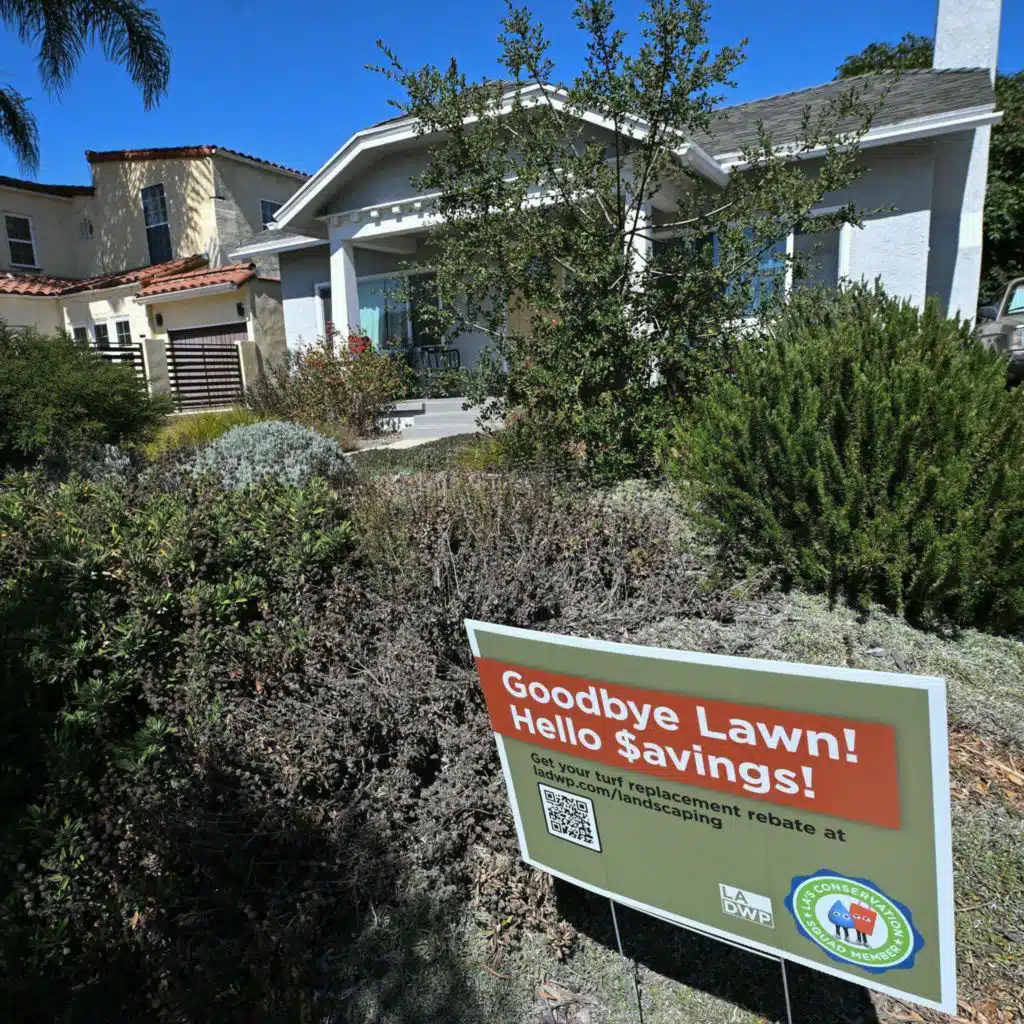 To Be Greener, Get Rid Of Your Grass