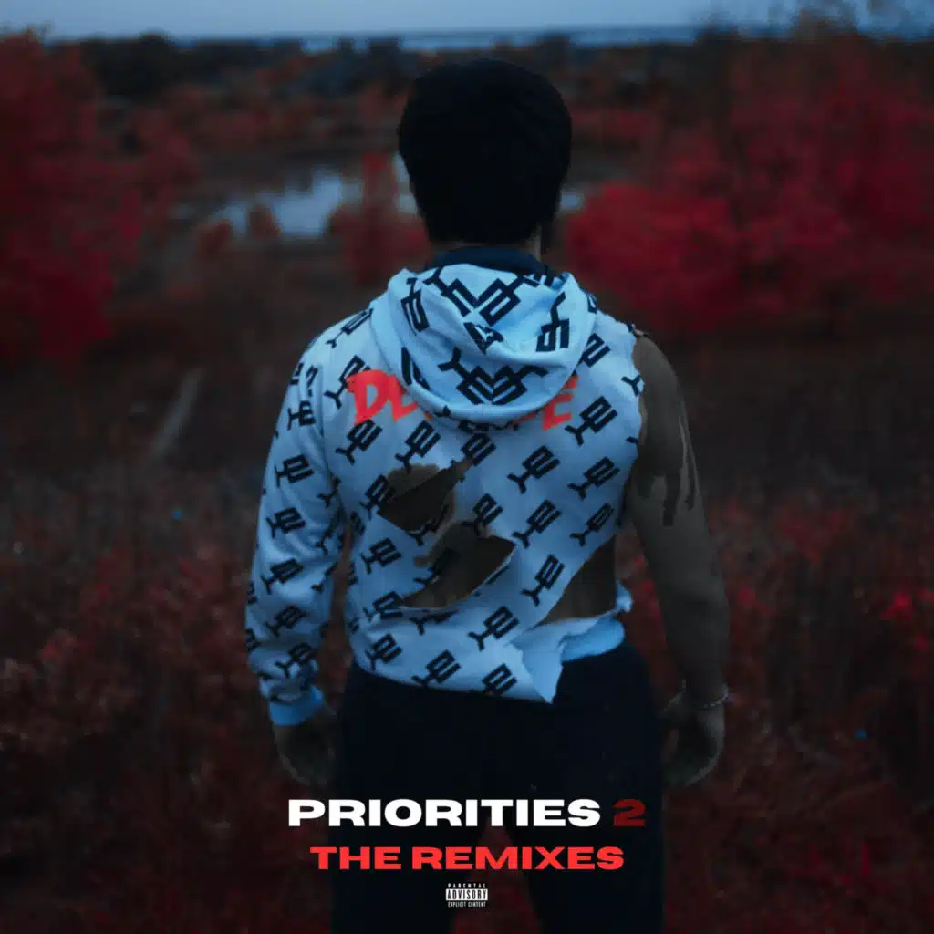 Priorities 2: The Remixes